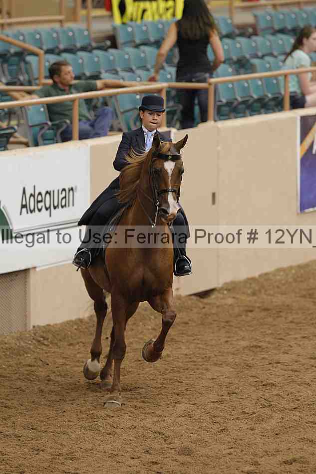 Proof 12yn_06806