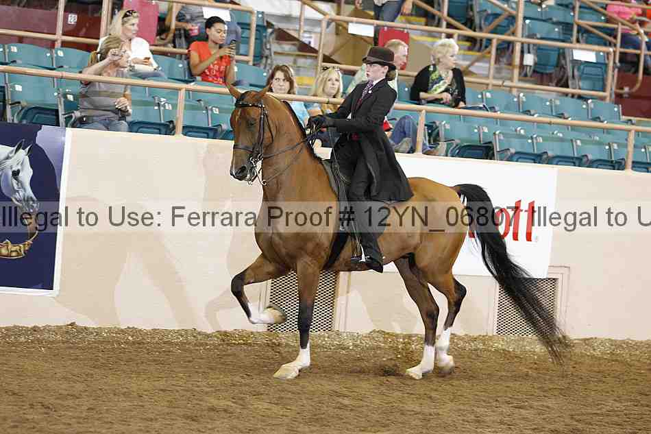 Proof 12yn_06807