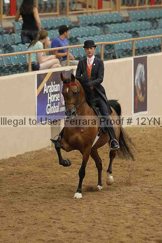 Proof 12yn_06808