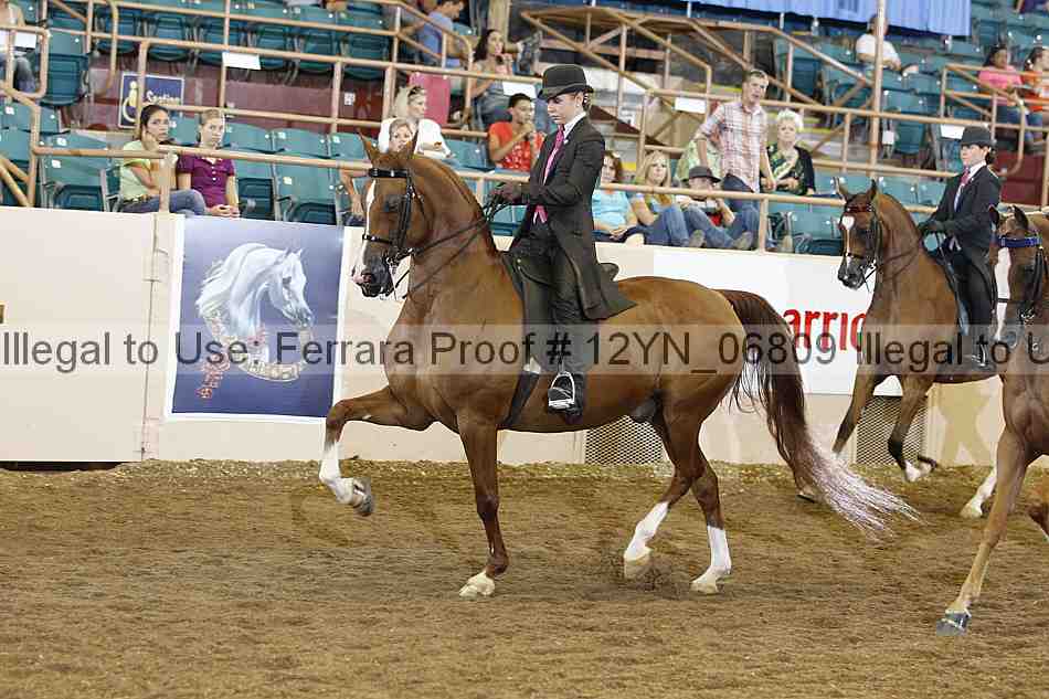 Proof 12yn_06809