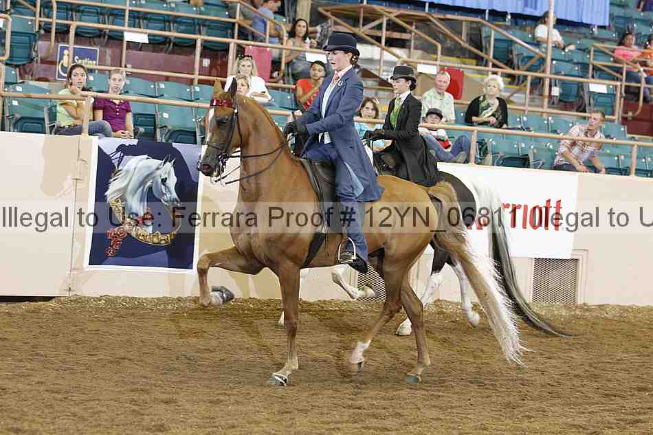 Proof 12yn_06811