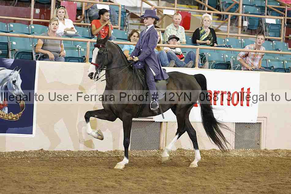 Proof 12yn_06813