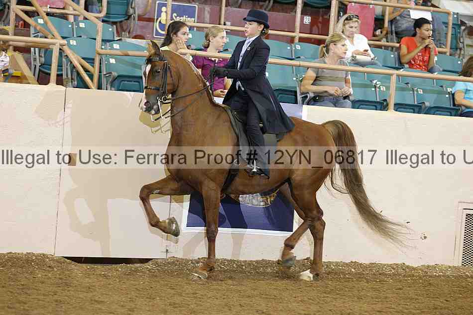 Proof 12yn_06817