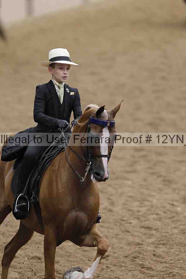 Proof 12yn_06821