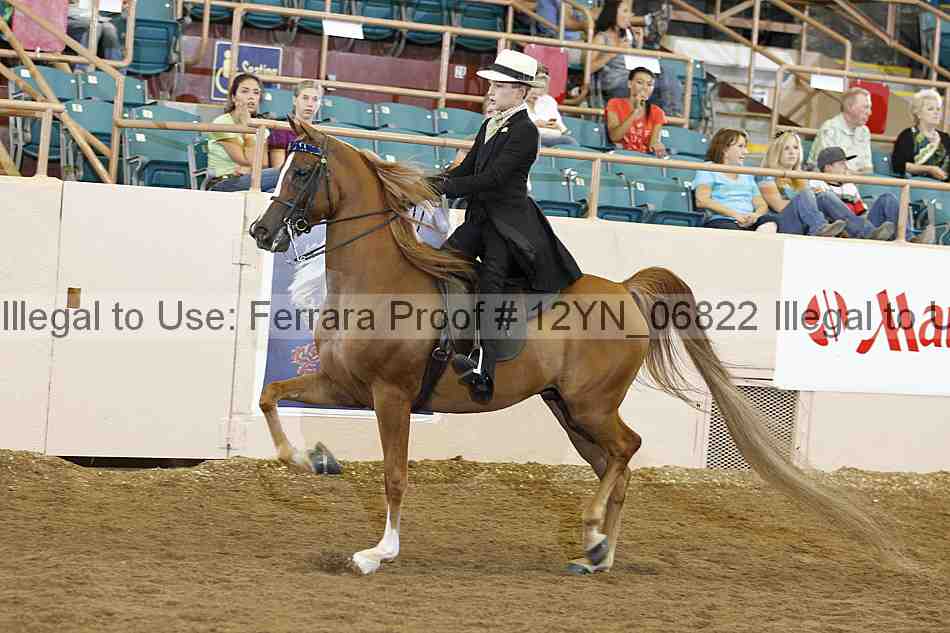 Proof 12yn_06822
