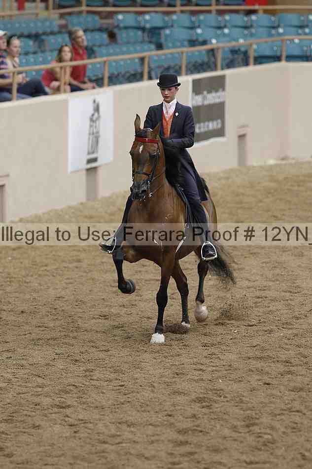 Proof 12yn_06823
