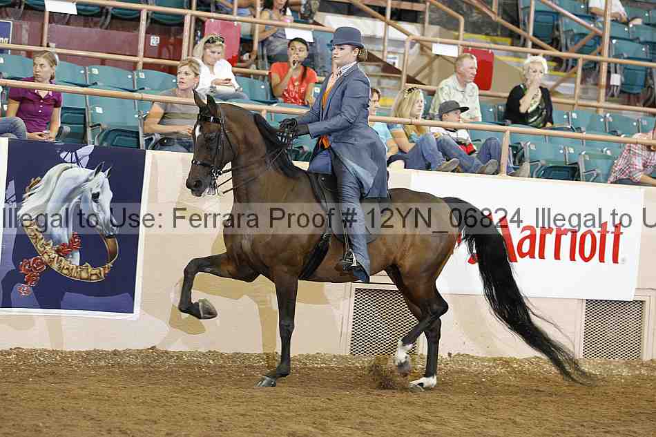 Proof 12yn_06824