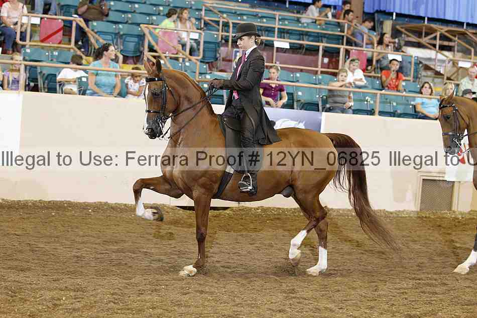 Proof 12yn_06825