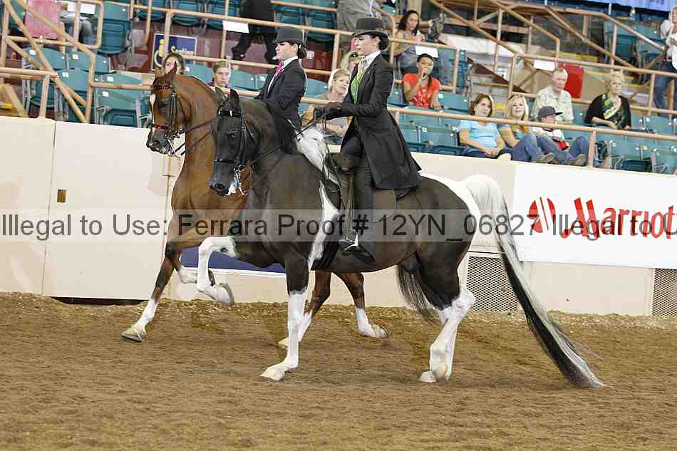 Proof 12yn_06827