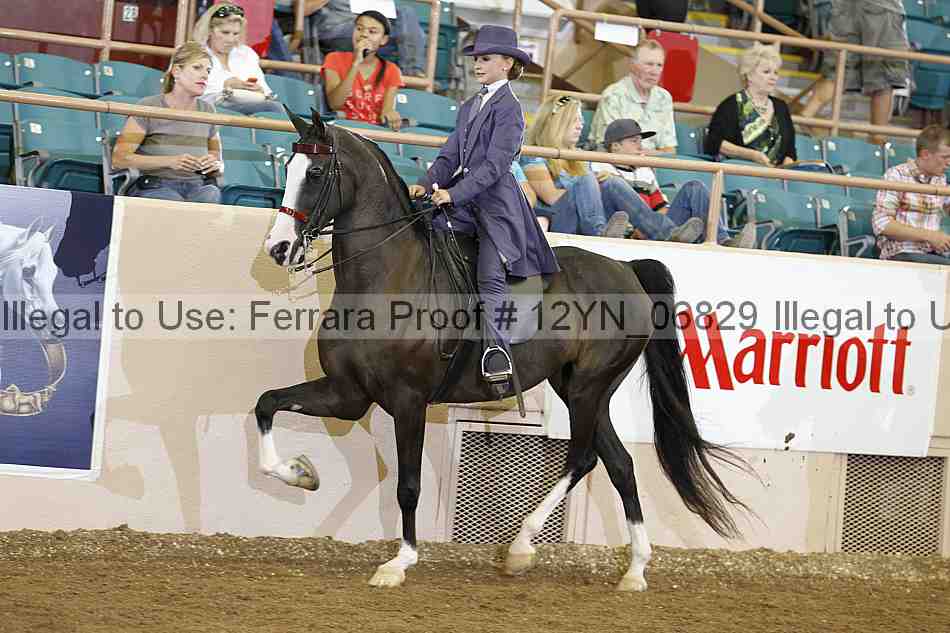 Proof 12yn_06829