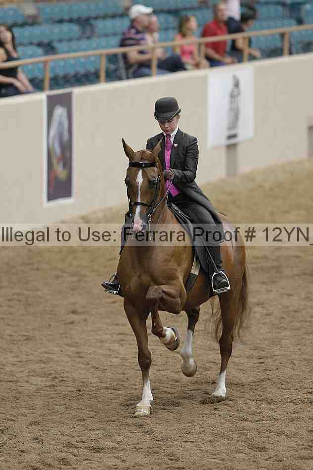 Proof 12yn_06831