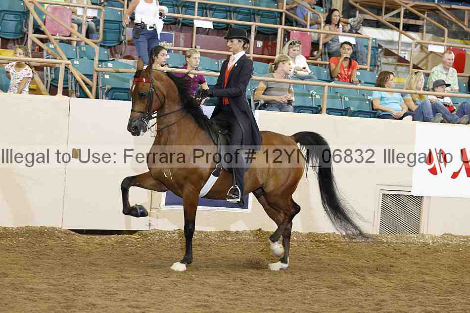 Proof 12yn_06832