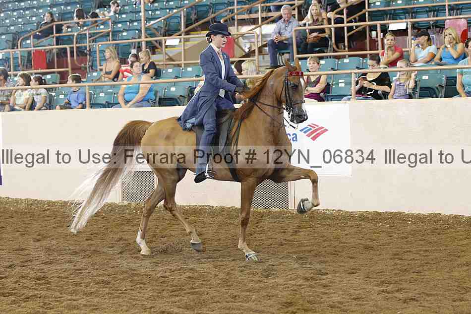 Proof 12yn_06834
