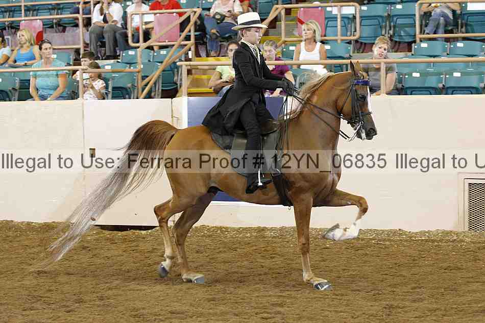 Proof 12yn_06835