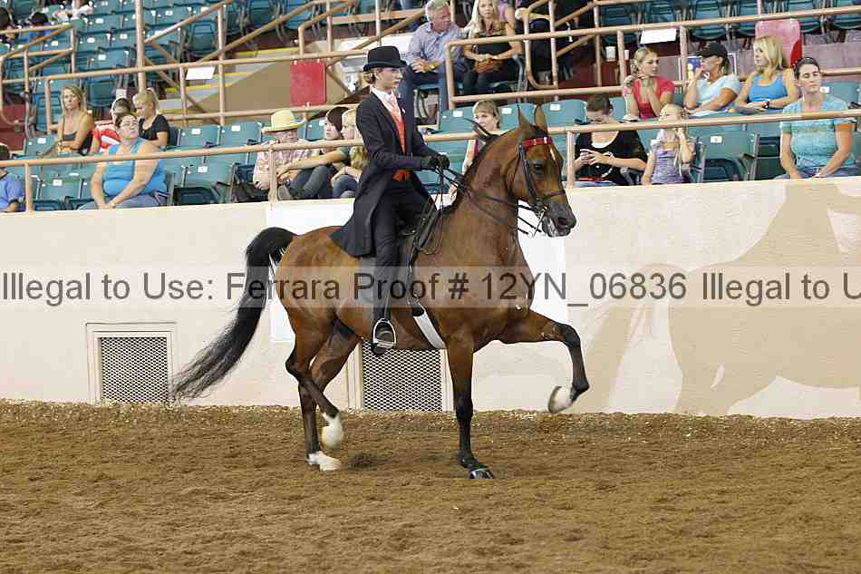 Proof 12yn_06836