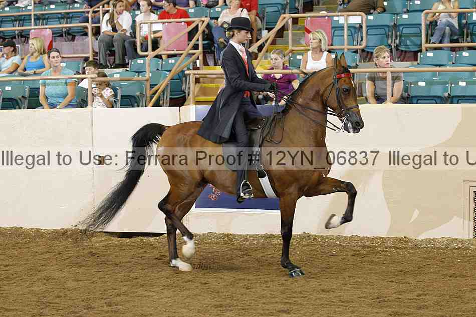 Proof 12yn_06837
