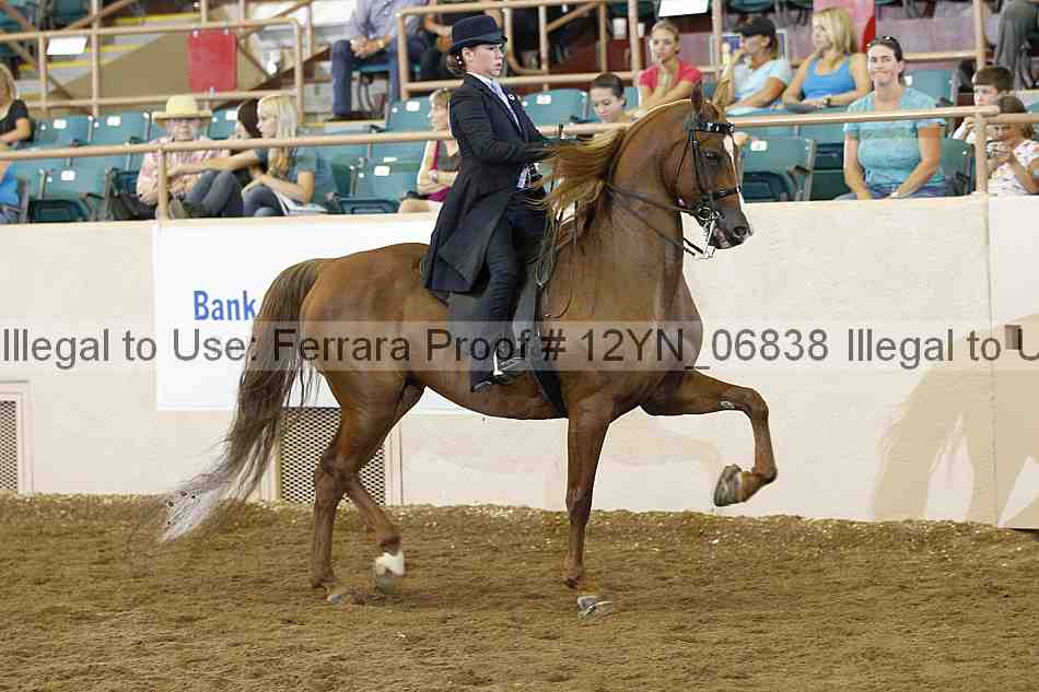 Proof 12yn_06838