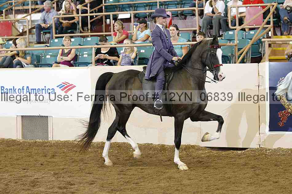 Proof 12yn_06839