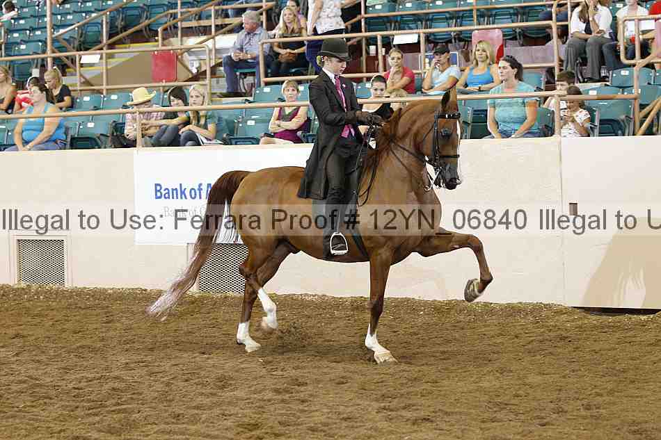 Proof 12yn_06840