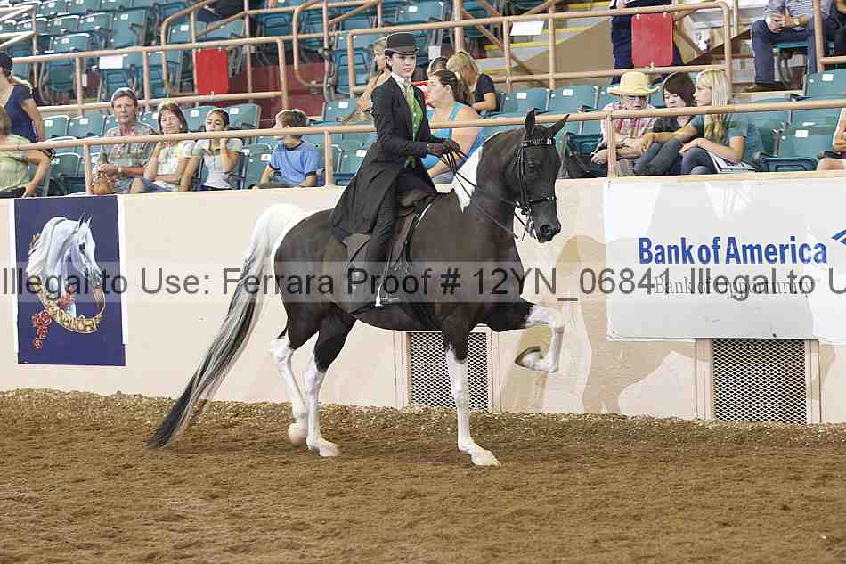 Proof 12yn_06841