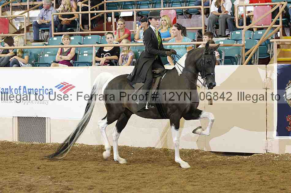 Proof 12yn_06842