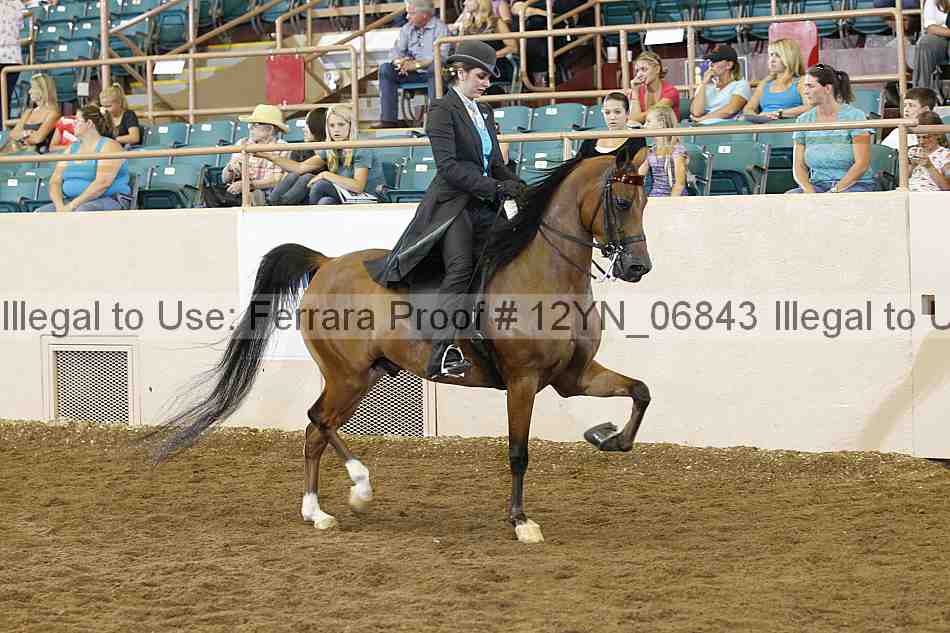 Proof 12yn_06843