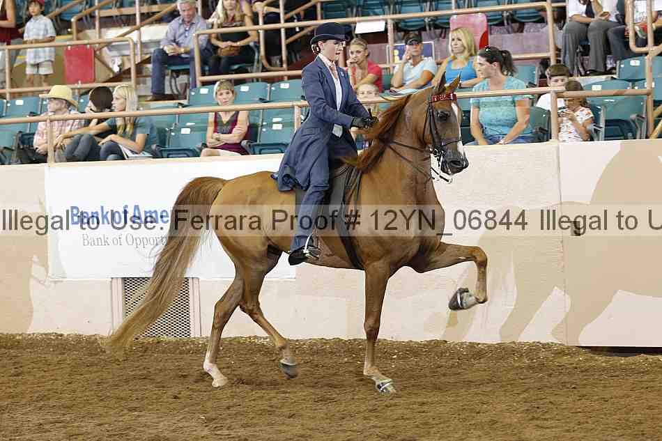 Proof 12yn_06844