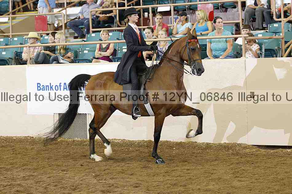 Proof 12yn_06846