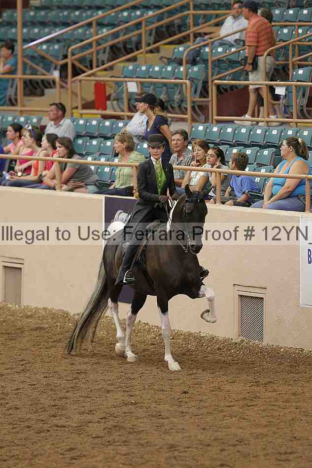 Proof 12yn_06848