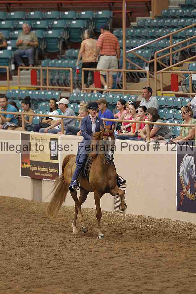 Proof 12yn_06851