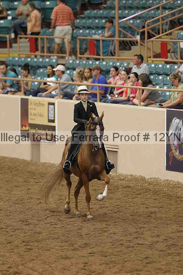 Proof 12yn_06852