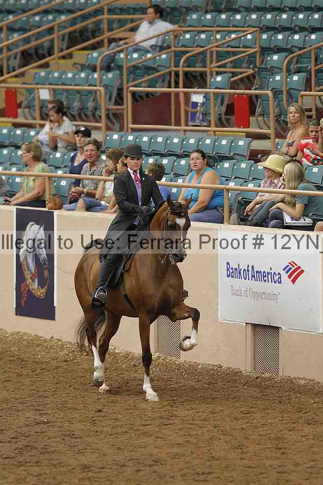 Proof 12yn_06853