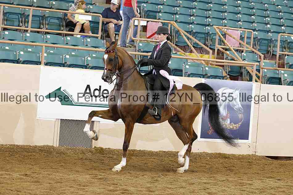 Proof 12yn_06855