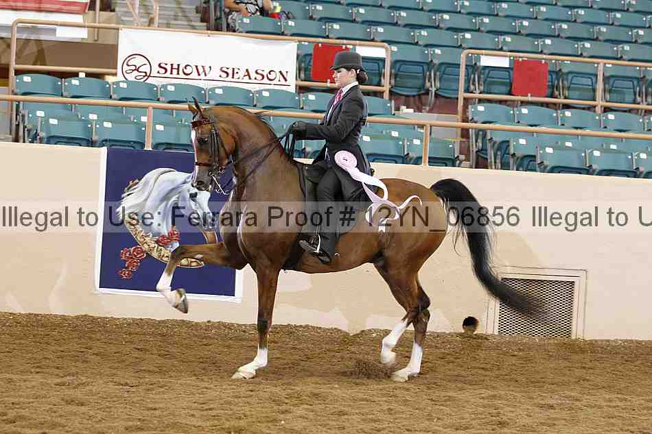 Proof 12yn_06856