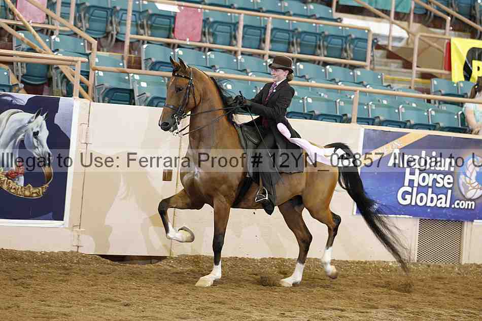 Proof 12yn_06857