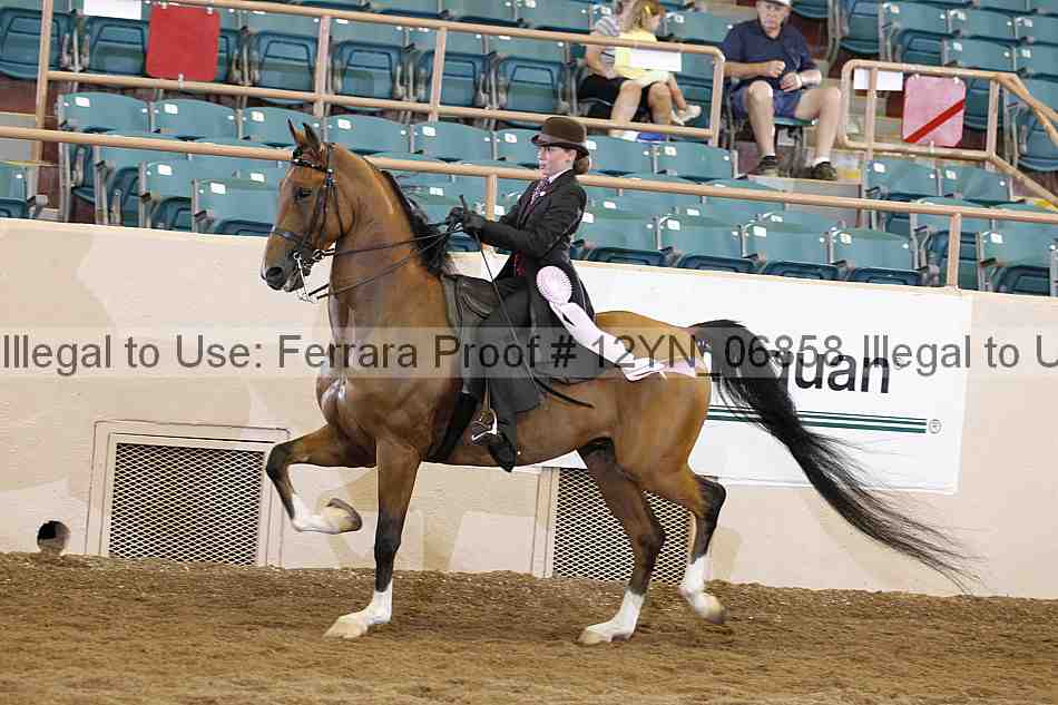 Proof 12yn_06858