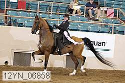 12yn_06858 proof