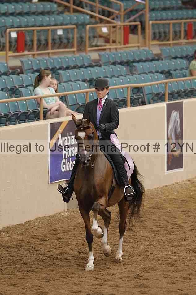 Proof 12yn_06860