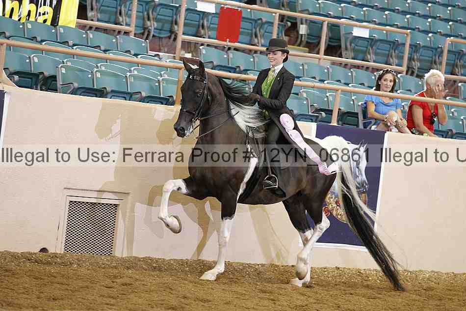Proof 12yn_06861