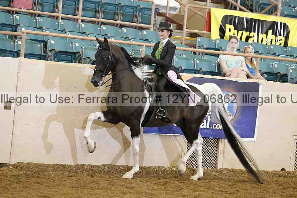 Proof 12yn_06862