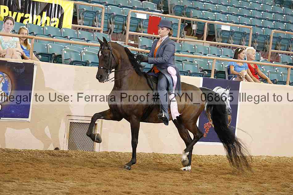Proof 12yn_06865