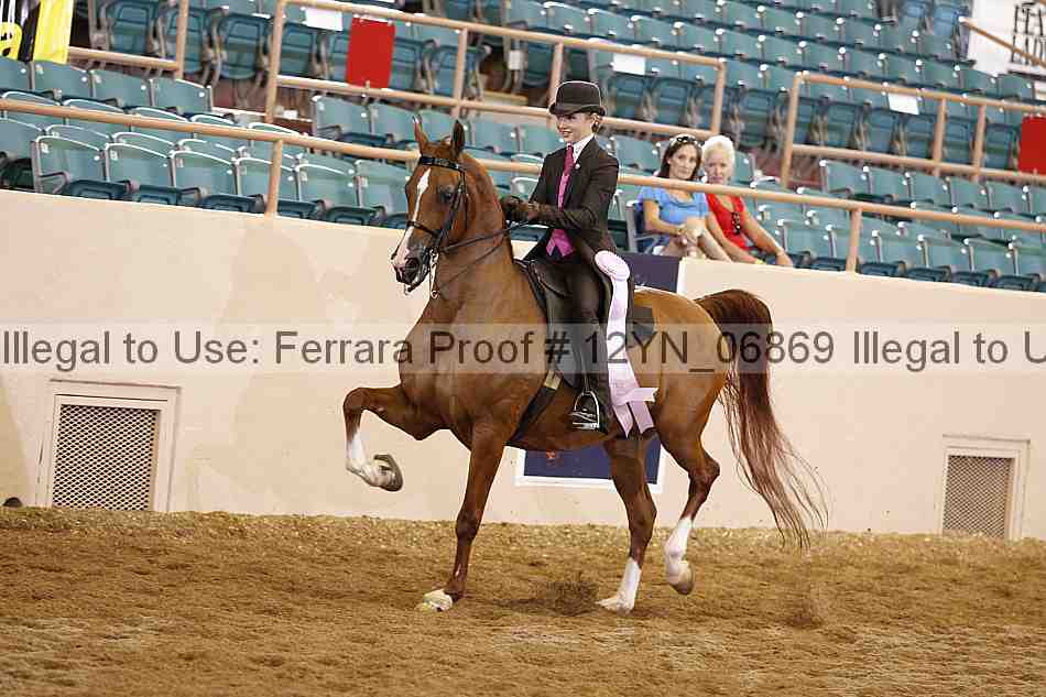 Proof 12yn_06869