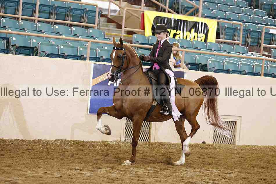 Proof 12yn_06870