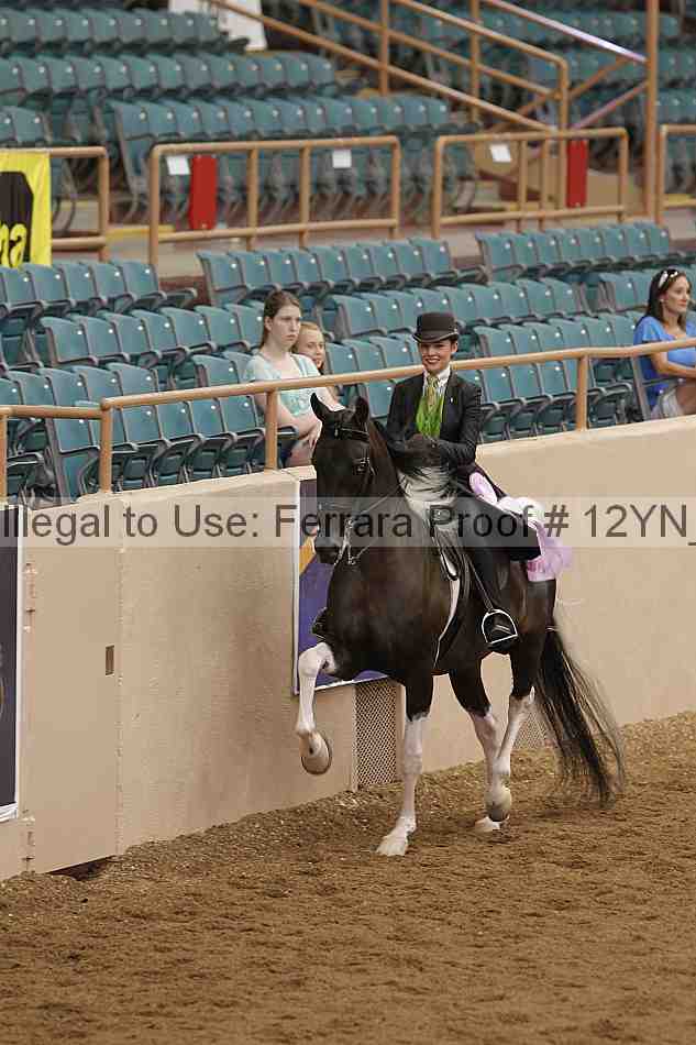 Proof 12yn_06871