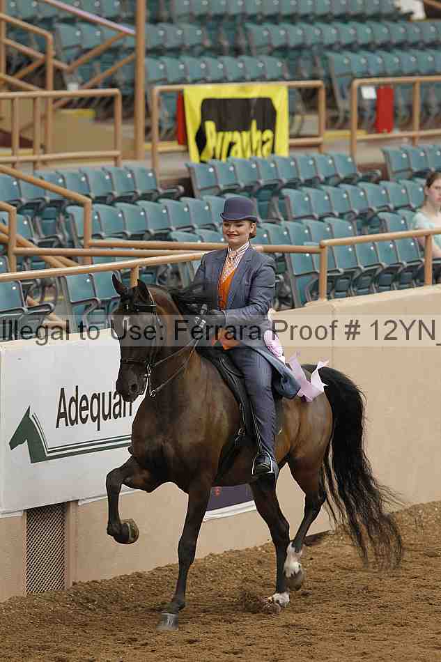 Proof 12yn_06876