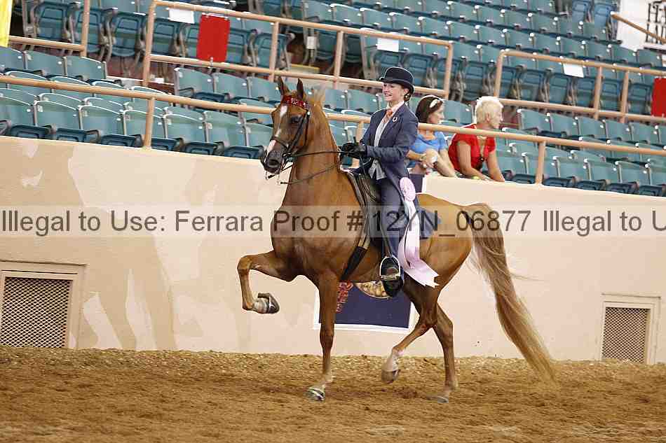 Proof 12yn_06877