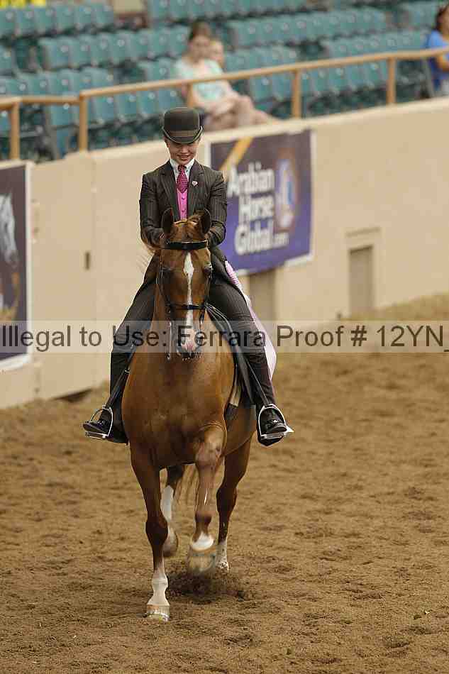 Proof 12yn_06880