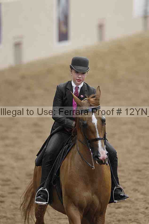 Proof 12yn_06881