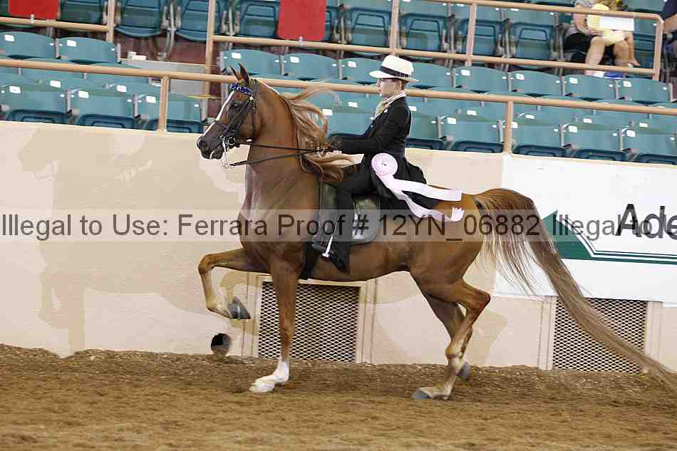 Proof 12yn_06882