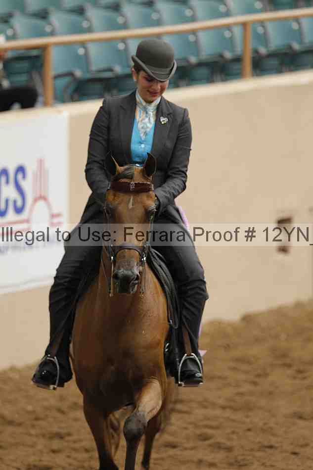 Proof 12yn_06885